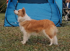index026002.jpg