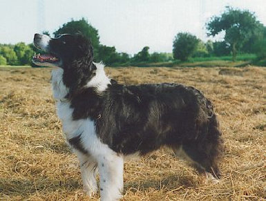 index035011.jpg