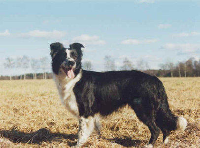 index053002.jpg